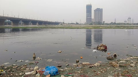 पुणे : कालव्यातील घाणीमुळे हजारो माशांचा मृत्यू