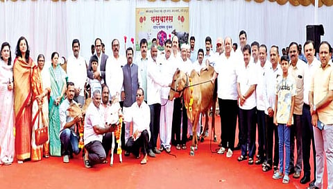 ‘गोकुळ’मुळे दूध उत्पादकांत दिवाळीचा गोडवा