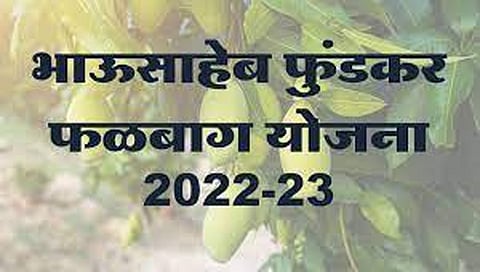 नाशिक : फळबागेसाठी करा 30 नोव्हेंबरपर्यंत ऑनलाइन अर्ज