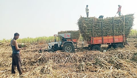 Sugarcane Workers news : ऊसतोड कामगार महामंडळाचे 200 कोटी थकीत