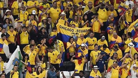 Fifa World Cup