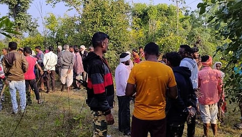 चंद्रपूर : बिबट्याच्या हल्ल्यात शेतक-याचा मृत्यू