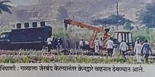 सांगली : कामेरीत जखमी गवा जेरबंद
