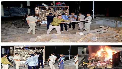 नंदुरबार : लाकडे उपलब्ध करुन अंत्यसंस्कारासाठी खोळंबलेल्या मृतदेहांना अग्निडाग देताना नवापूर पोलीस. (छाया: योगेन्द्र जोशी)