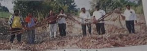 अबब… एकरी १२८ टन उसाचे उत्पादन
