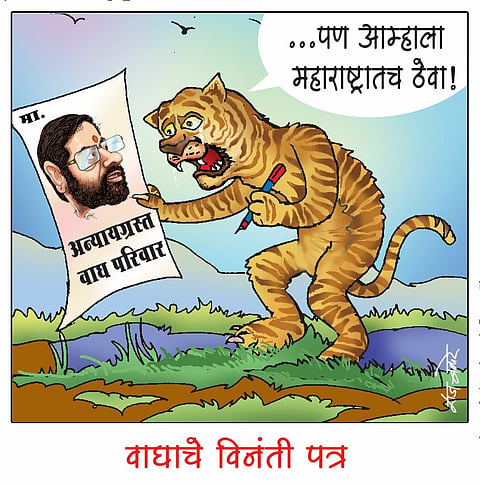 लवंगी मिरची : वाघाचे विनंती पत्र
