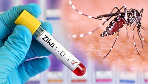Zika Virus : ३८ गावांत ‘झिका’चा धोका; मिरज तालुक्यात सर्वाधिक गावे