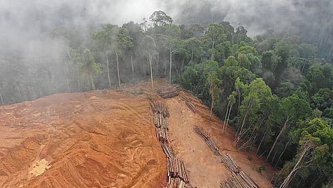 world soil day : मृदा संवर्धन काळाची गरज; जगापुढे वाळवंटीकरणाचे आव्हान