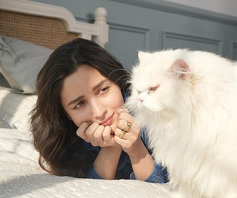 Alia Bhatt : लो फिर प्यार हो गया ?; आलिया आहे कसल्या विचारात?