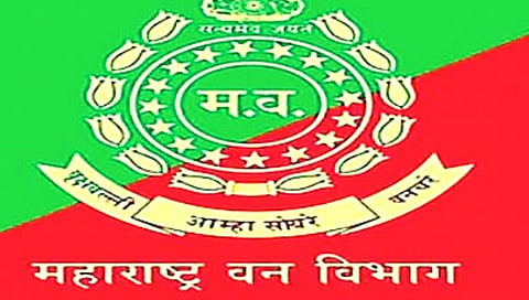 भंडारा : वनपरिक्षेत्रात परवानगीशिवाय कॅम्पिंग करणाऱ्या १४५ तरुण-तरुणींना माघारी धाडले