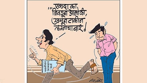लवंगी मिरची : पदवीधर?