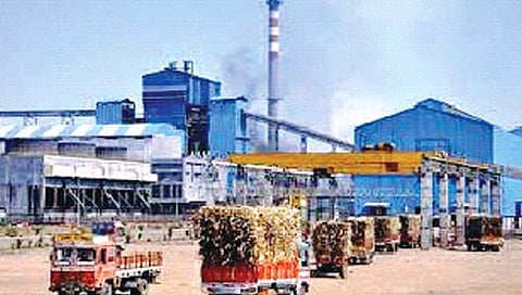 साखर उतार्यात कोल्हापूर जिल्हा अव्वल