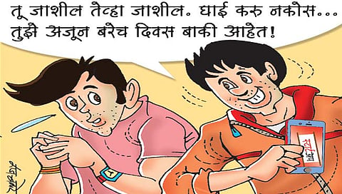 लवंगी मिरची : सुखावह मरण