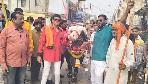 Aurangabad : औरंगाबादेत रेड्याचा जंगी वाढदिवस! महागातला केक अन् ७०० जणांचे जेवण