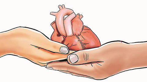 पुणे : वर्षभरात 46 दात्यांनी केले अवयवदान