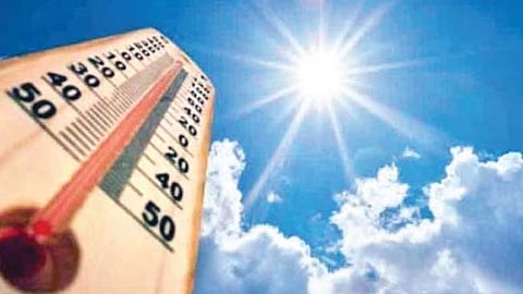 Nashik - जंगलाचा होतोय हास; सूर्य ओकतोय आग