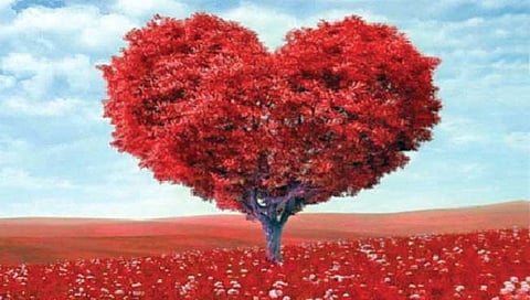 Healthy love life