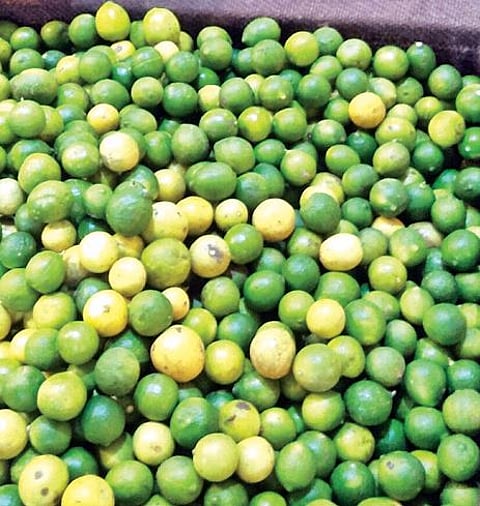 पिंपरी : काकडी, टोमॅटो, लिंबू, लसूणचे दर वाढले
