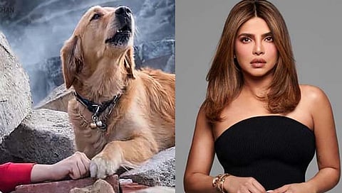 priyanka chopra