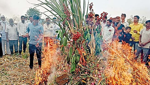 माळवाडी गाव विकणे आहे; कांदा उत्पादक शेतकर्यांनी केला ठराव