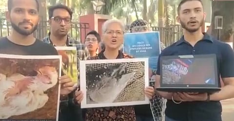 पुणे : जलचर प्राण्यांवरील अन्यायाविषयी जनजागृती
