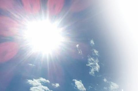 बारामतीचा बागायती पट्टाही उन्हाने होरपळला