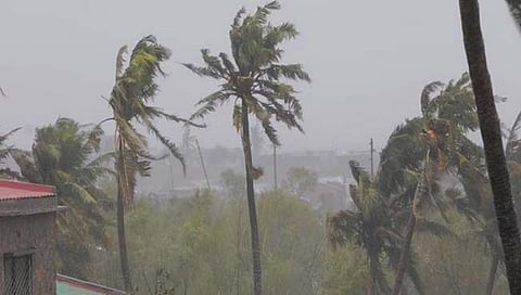 Cyclone Freddy