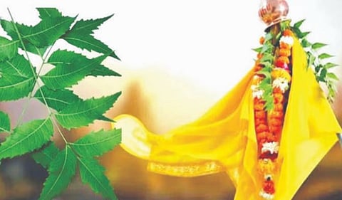 Neem : कडुनिंबाचे ‘असे’ असतात आरोग्याला लाभ