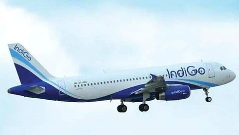 indigo flight