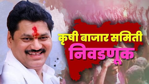 APMC Market Election : परळी पाठोपाठ अंबाजोगाई बाजार समितीवर धनंजय मुंडे यांचे वर्चस्व