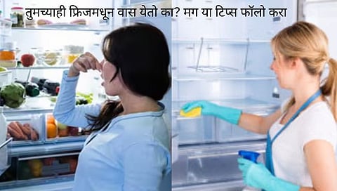 Fridge cleaning