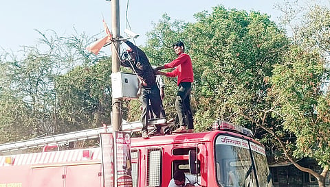 पाथर्डी: अनधिकृत झेंड्यांवर कारवाई, नगर परिषदेच्या कर्मचार्यांनी काढले झेंडे; खबरदारी म्हणून उपाययोजना