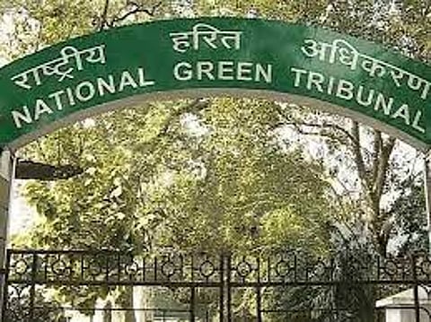 कास पठारावरील अतिक्रमणविरोधात राष्ट्रीय हरित न्याय प्राधिकरणात याचिका