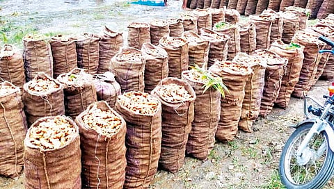 शेतकर्याचा नाद खुळा; डॉल्बीच्या तालावर आले धुण्याचा सपाटा