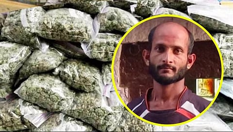 राधानगरीतील पुंगावमध्ये ५९ हजारांचा गांजा जप्त, एकाला अटक