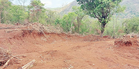 पुणे : शेतीला दिवसा वीजपुरवठ्यासाठी ग्रामपंचायतींनी गायरान जमीन द्यावी