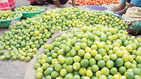 Pune Lemon