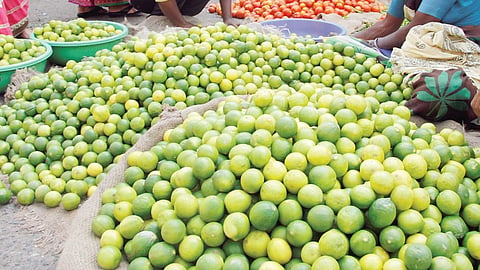 Lemon Rate Hike