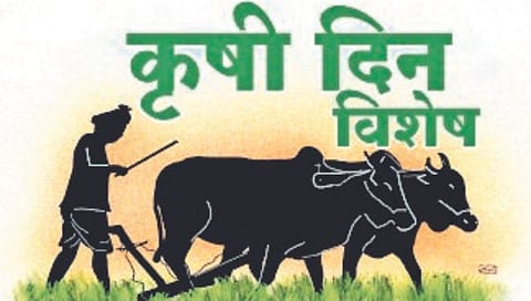 कृषी दिन विशेष : आर्थिकदृष्ट्या कोलमडलेल्या शेतकर्याला हवा मदतीचा आधार