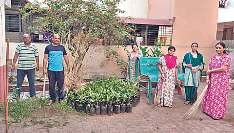 World Environment Day : कम्युनिटी वर्क फॉर नाशिक मधून पर्यावरण संवर्धनाचा जागर