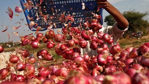 Onion Export : २० कोटींहून अधिकचा कांदा सडण्याची भीती, निर्यातबंदीमुळे अडकले १७० कंटेनर