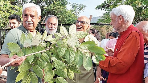 पुणे : पर्यावरणदिनानिमित्त निसर्गसंवर्धनाचा जागर; ‘दुर्मीळ होणार्या वृक्षांचे संवर्धन महत्त्वाचे’