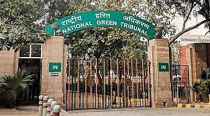 पुणे: नदीकाठ प्रकल्पासाठी 31 जुलैपर्यंत झाडे तोडण्यास स्थगिती, राष्ट्रीय हरित न्यायाधिकरणाचे आदेश
