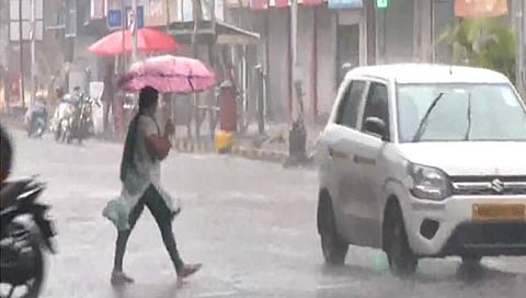 पावसाची बातमी ! राज्यात दोन दिवस हलका पाऊस