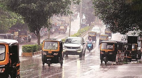 Pune Rain Update : पुण्यात रात्री पावसाचा धुमाकूळ; शहरात झाडपडीच्या तीन घटना