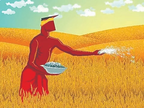 सांगली : बनावटगिरीचा रानबाजार; खतांत बगॅस, थर्मलची राख, खाणमाती