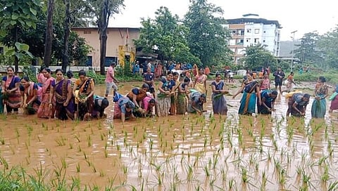 ‘देवीची शेती’ : रायगडमधील श्री सोमजाई देवस्थानची शेकडो वर्षांची जुनी सांस्कृतिक परंपरा | Somjai Devi in Raigad