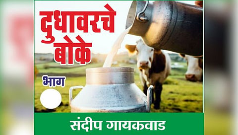 सोलापूर : दुधातील सहकार संपविण्यावर उपनिबंधकांनी ठेवले ‘लक्ष’