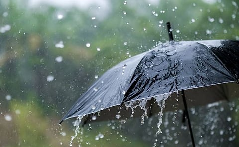 पावसाचा जोर वाढला, पेरणीचा वेग कमी