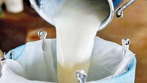 कर्नाटकात नंदिनी दूध दरात आजपासून वाढ